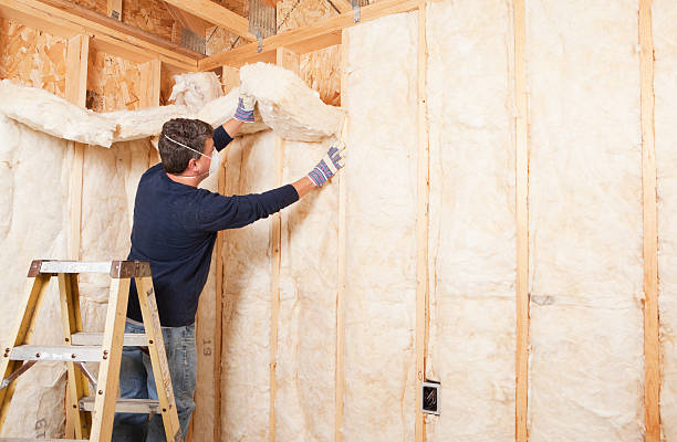 Eco-Friendly or Green Insulation Solutions in Ethete, WY